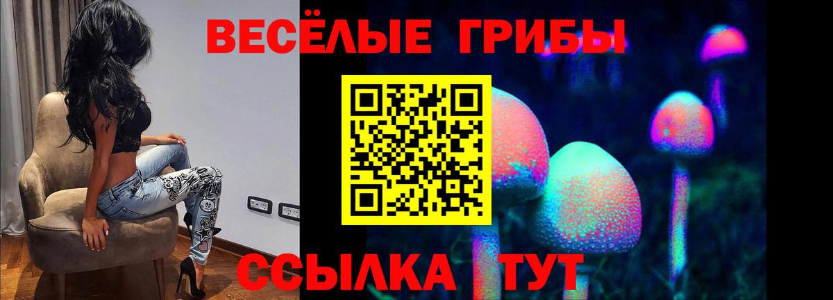 Котовск  Псилоцибиновые грибы Psilocybine cubensis  наркота  Вход с VPN  Псилоцибиновые грибы Psilocybine cubensis 
